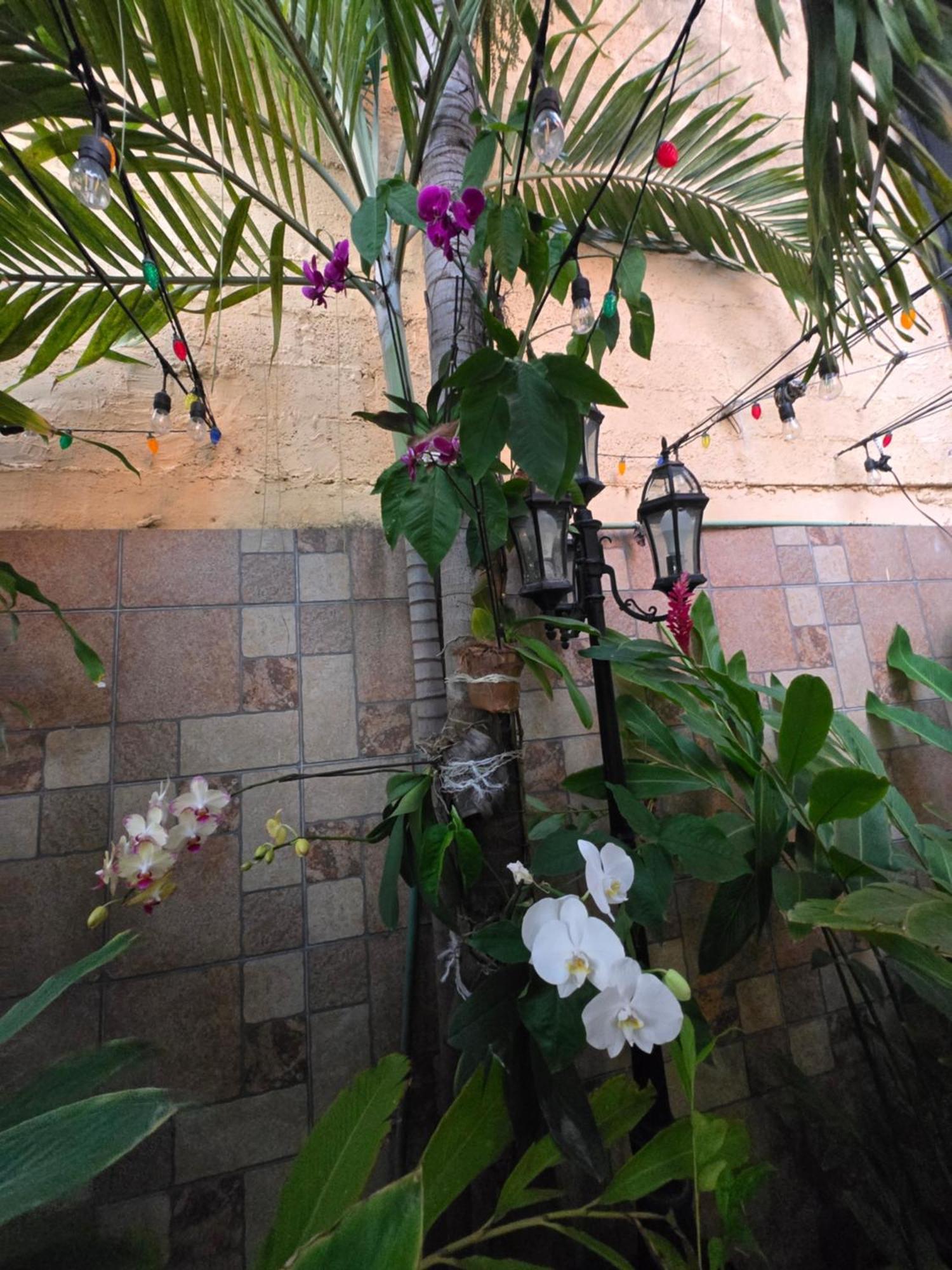 Hotel posada MARCAS Cancún Exterior foto